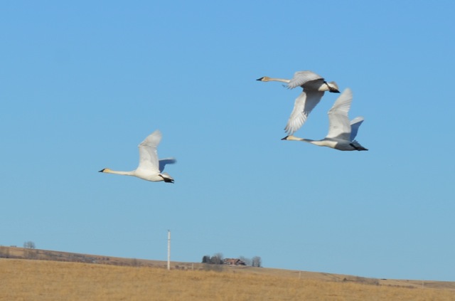 DSC_9729.jpg