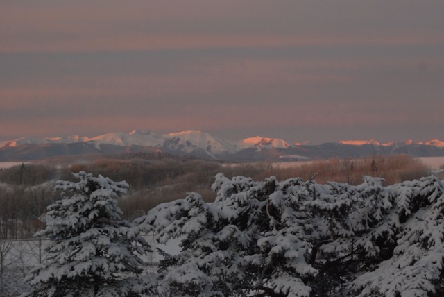 DSC_2557_2.jpg